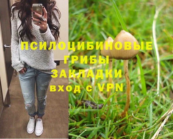 эйфоретик Михайловск